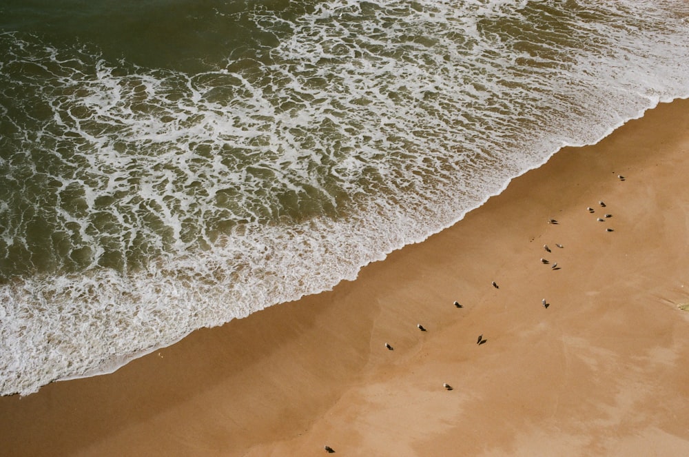 aerial view of beach during daytime