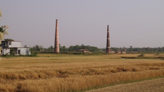 Two tall brick chimneys stand prominently in an open field with a few scattered trees. A small building with a white facade is visible to the left. The field contains crops that appear to be ripe, suggesting an agricultural area. The sky is clear, contributing to an expansive, rural landscape.