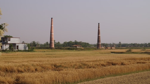 Two tall brick chimneys stand prominently in an open field with a few scattered trees. A small building with a white facade is visible to the left. The field contains crops that appear to be ripe, suggesting an agricultural area. The sky is clear, contributing to an expansive, rural landscape.
