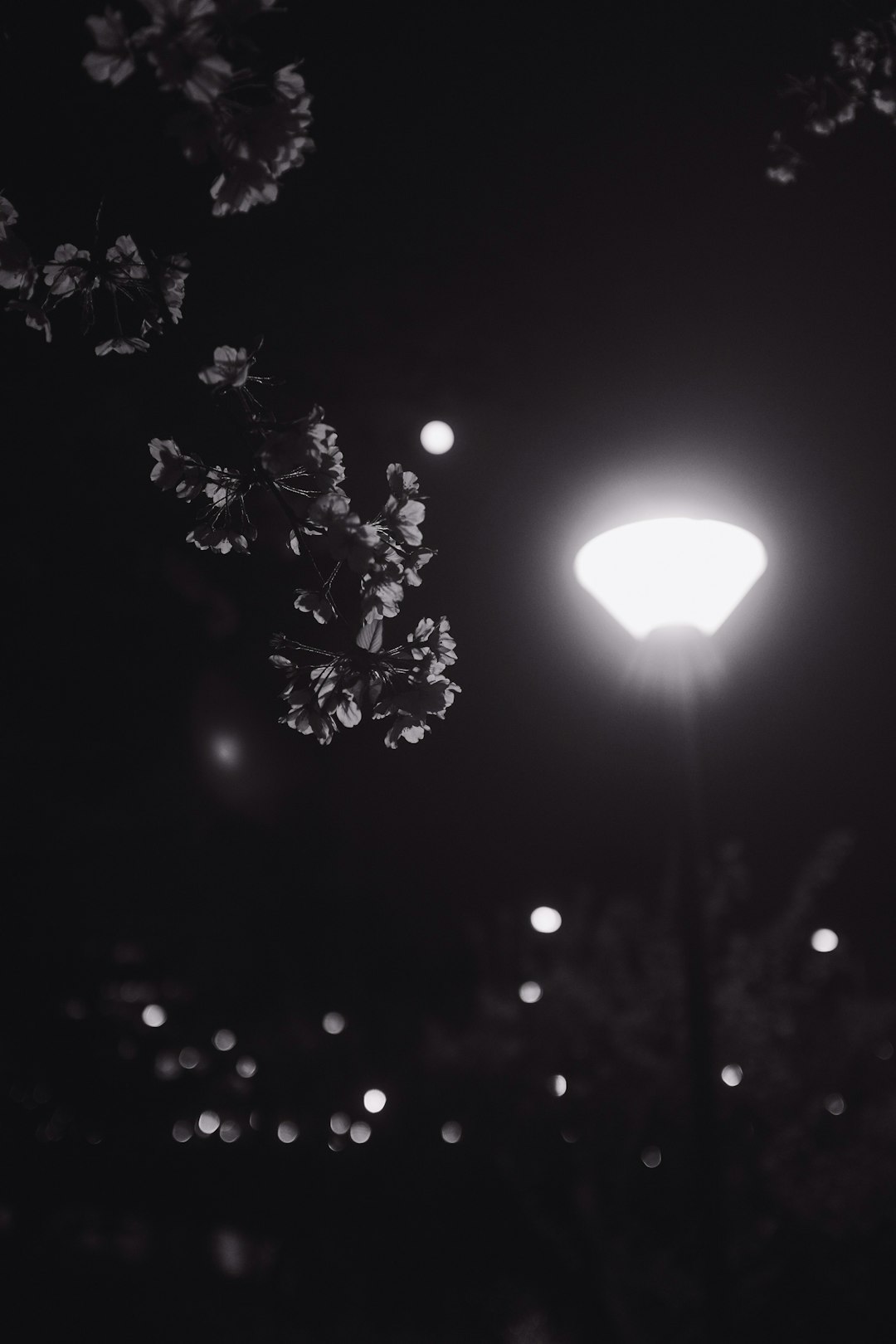 grayscale photo of a tree with a moon