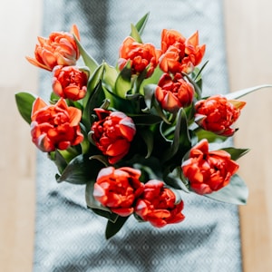 red roses on white textile