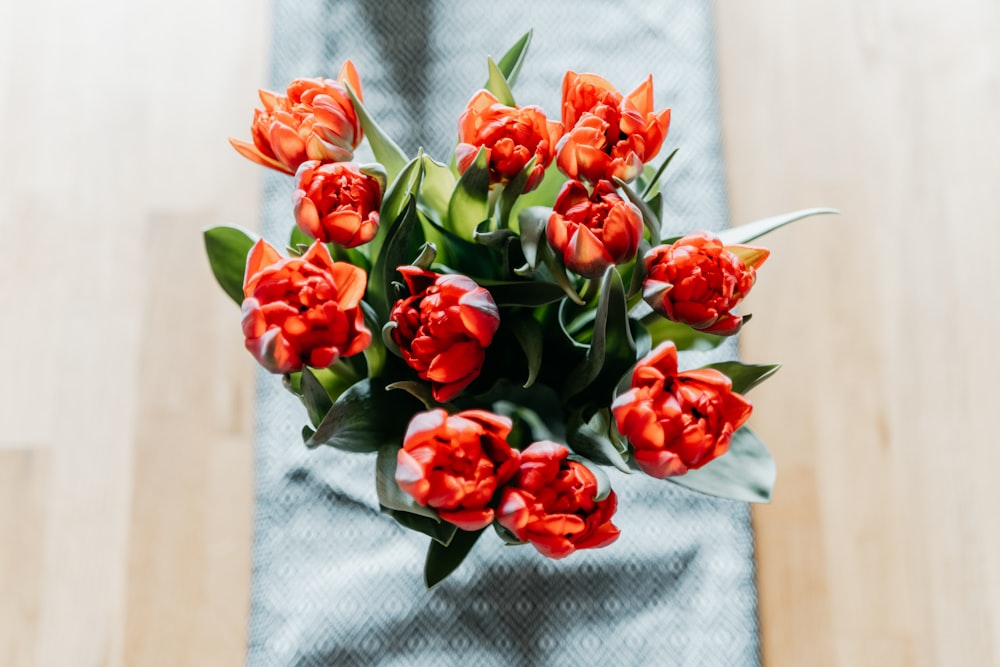 red roses on white textile