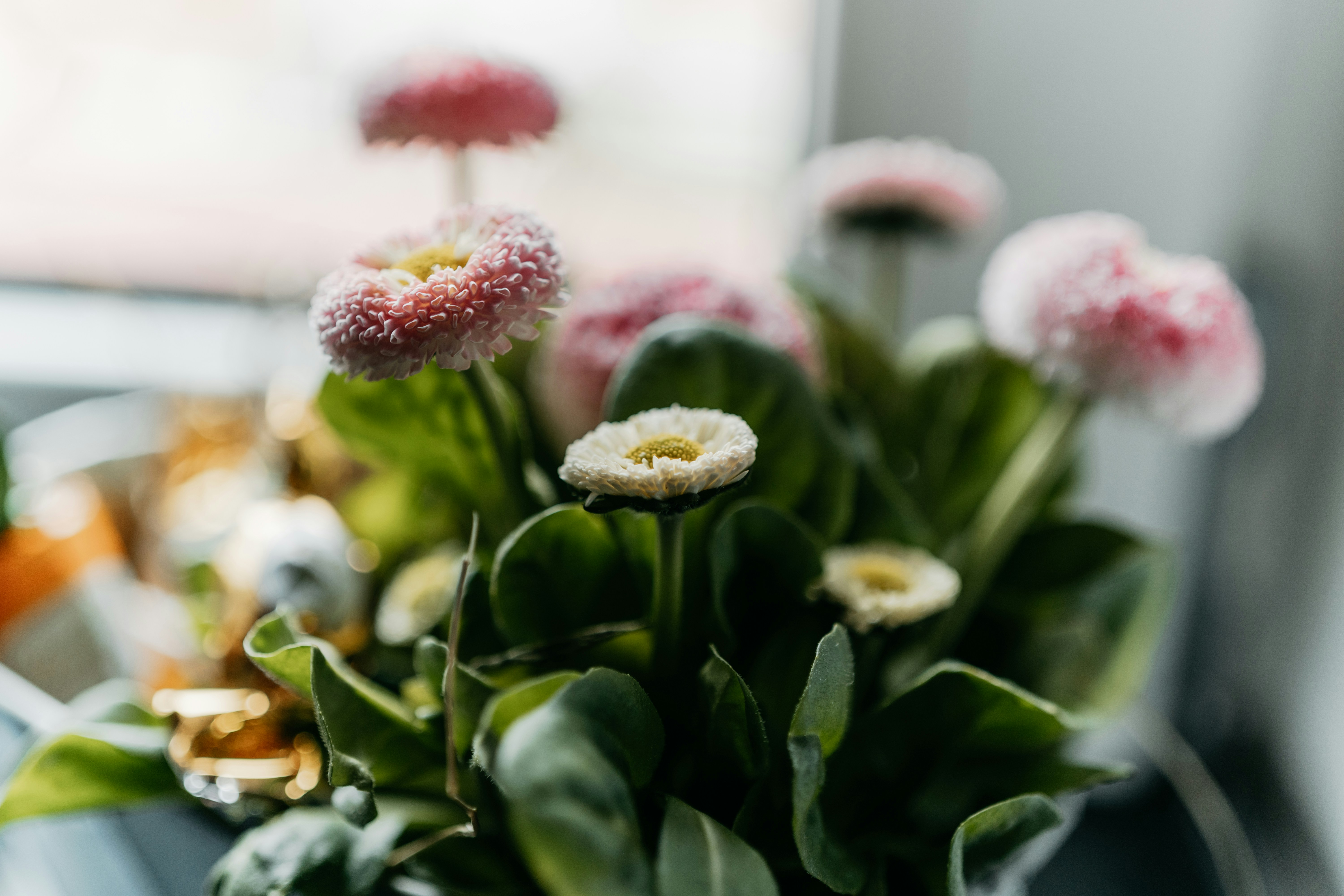 Photo by julianhochgesang