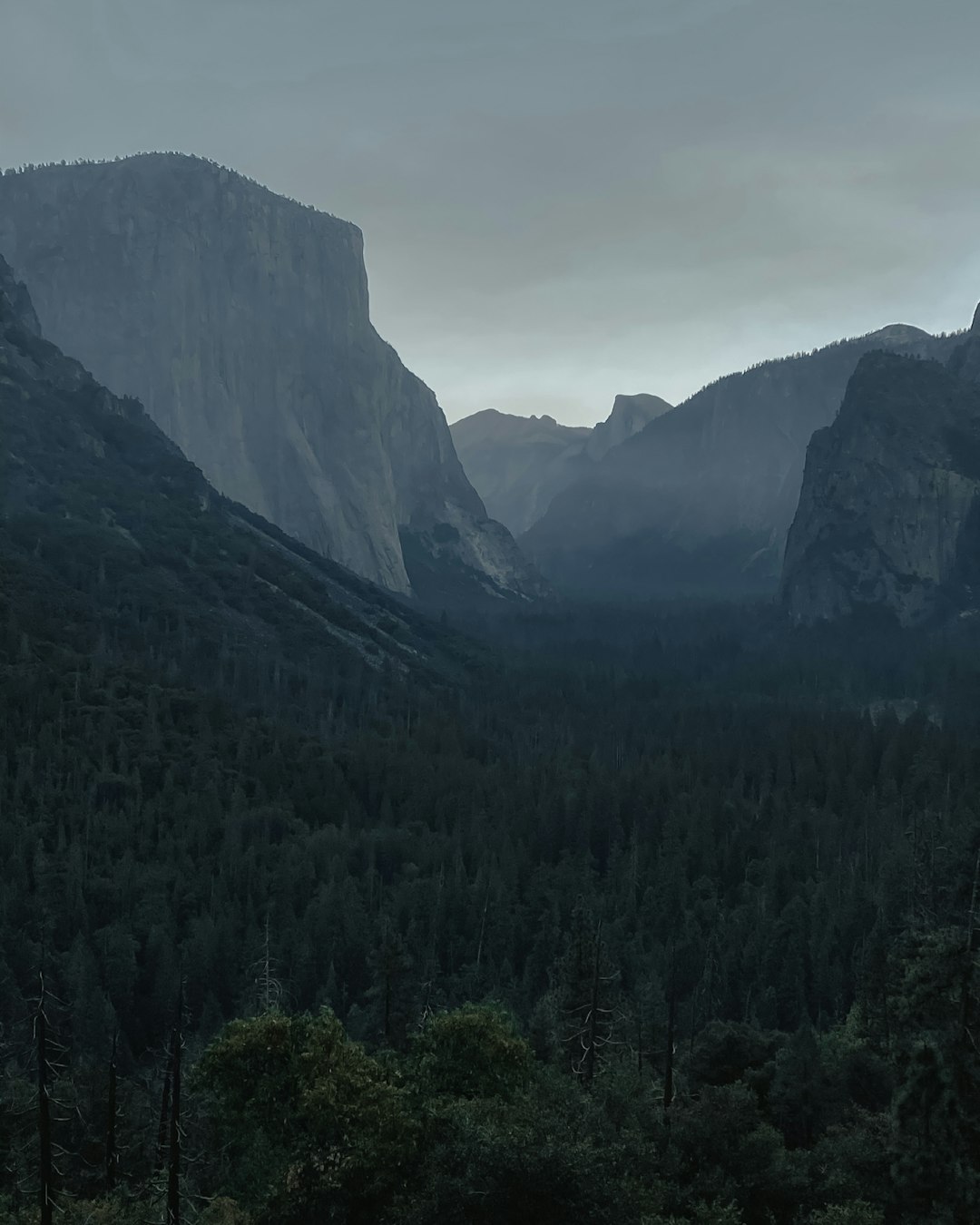 green trees on mountain under white sky during daytime