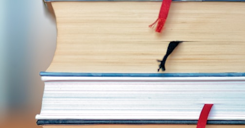 red umbrella on brown wooden book