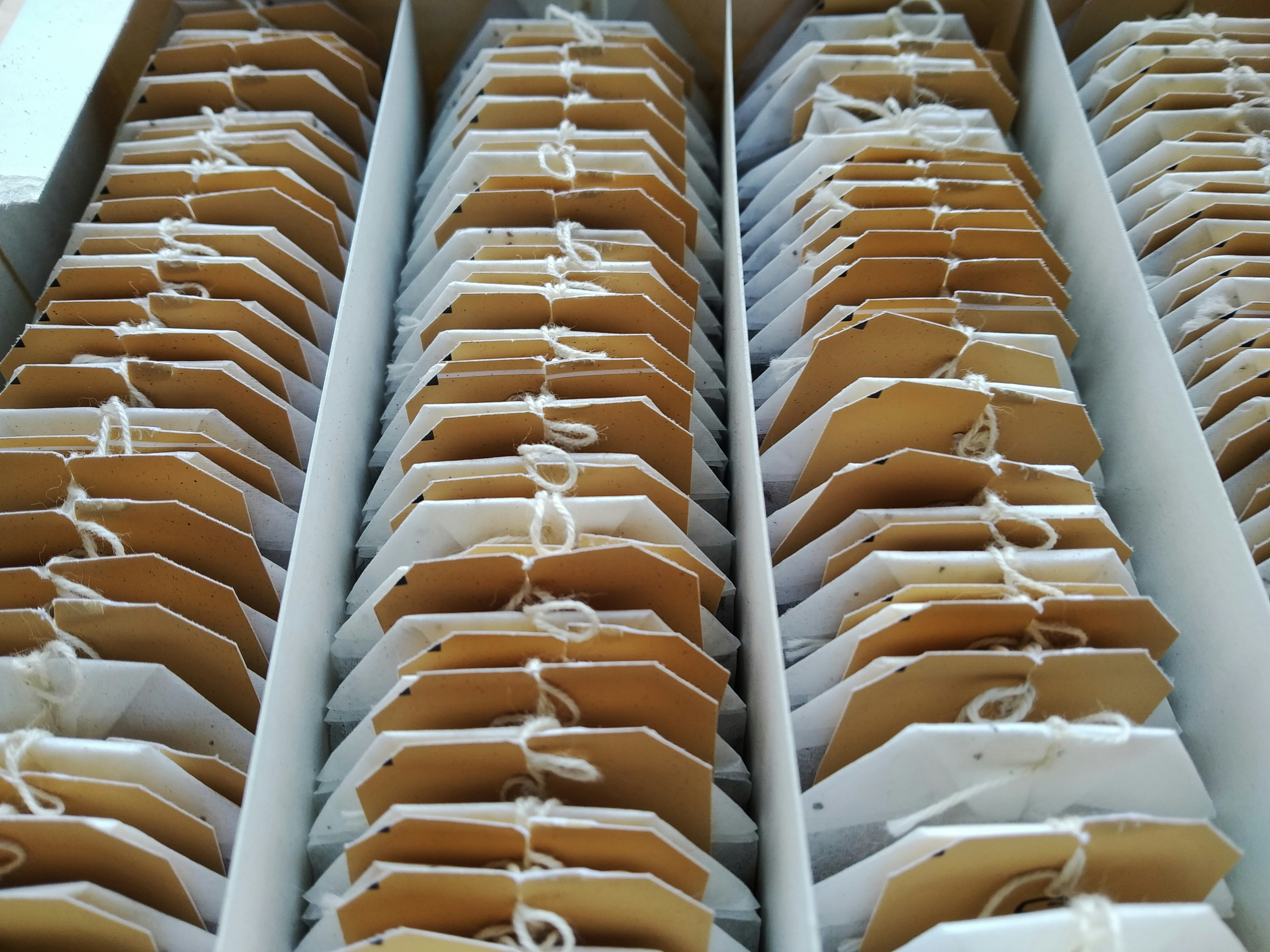 Discover Your Perfect Brew