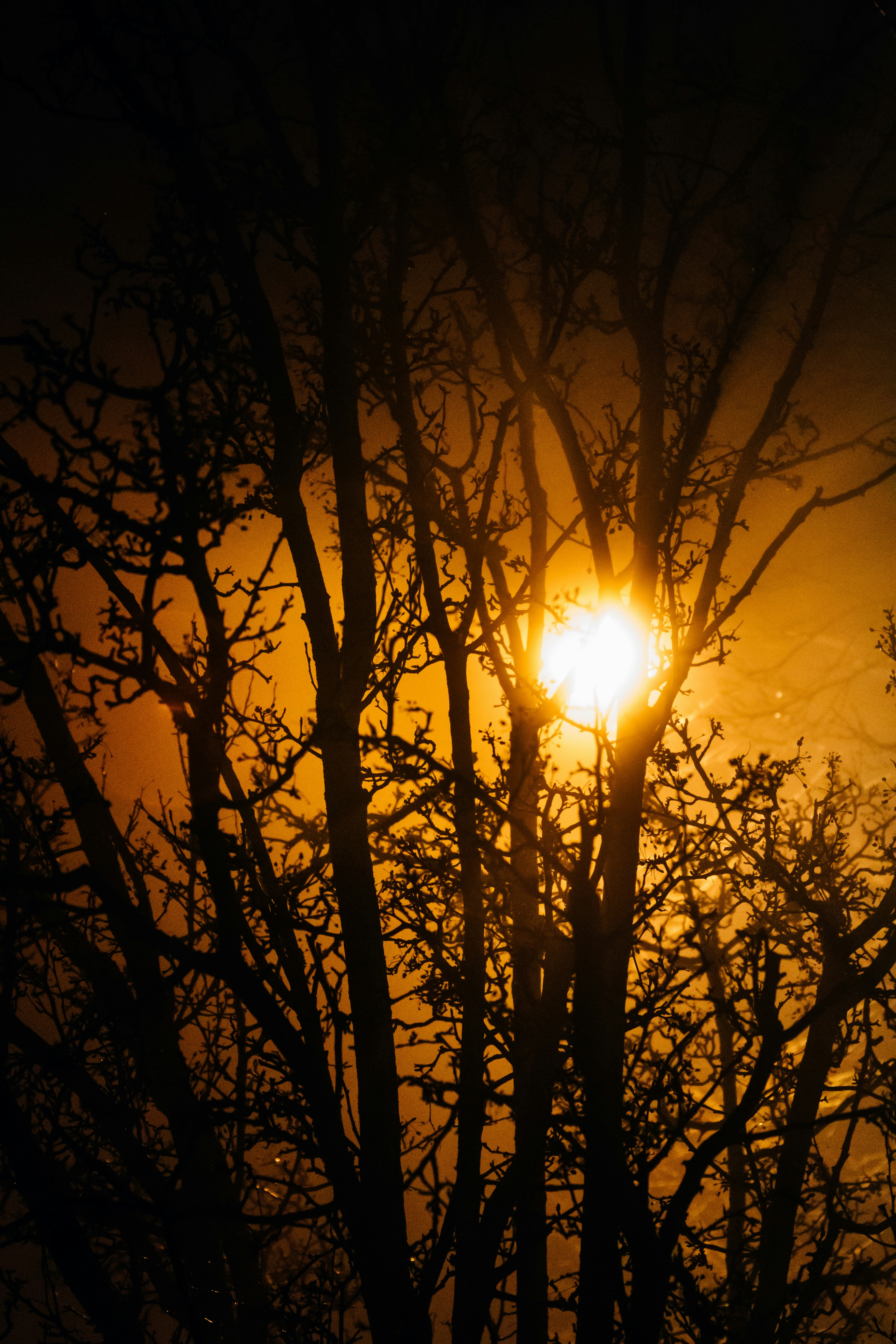 Photo by lucasbeckphotography