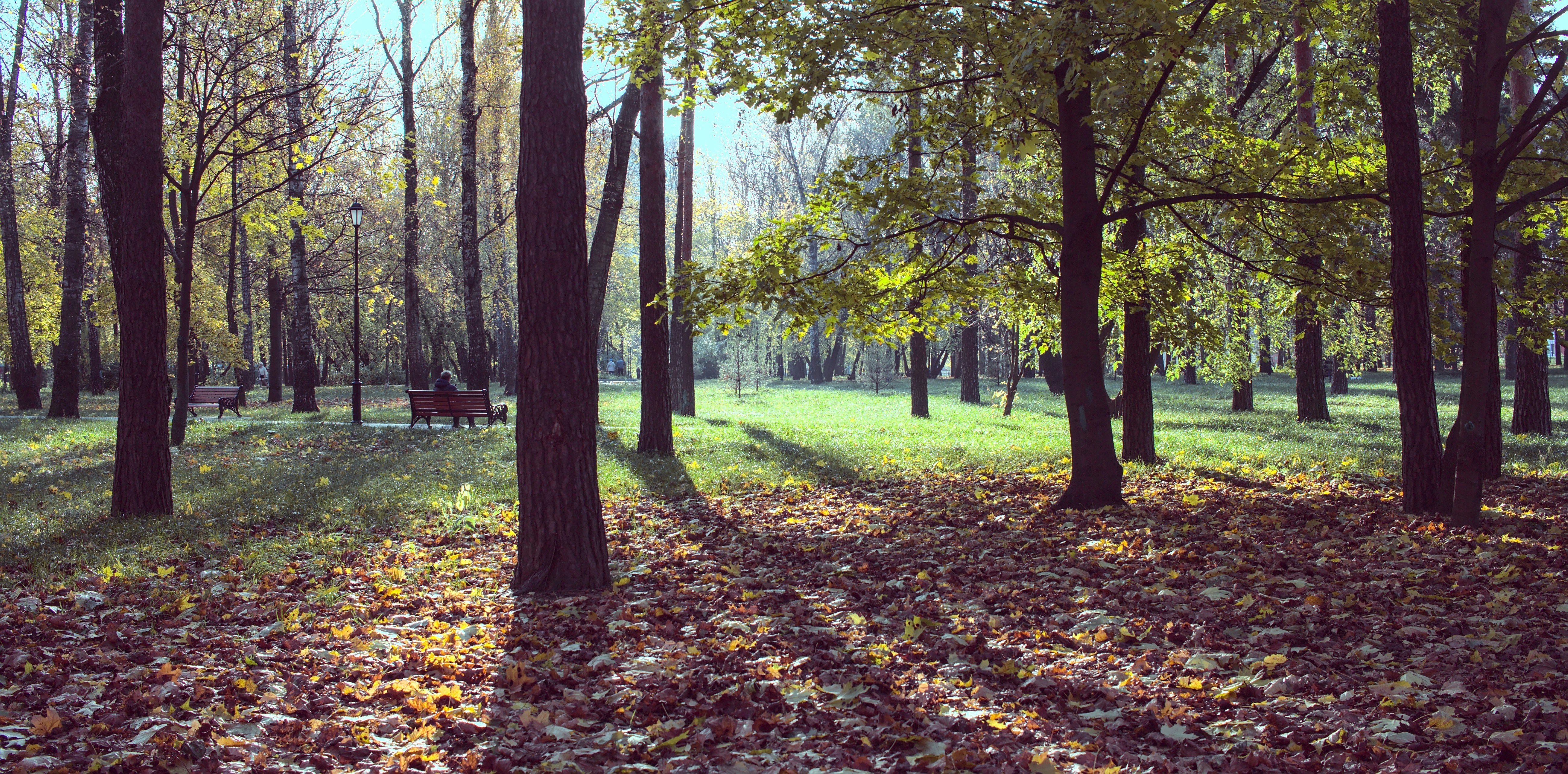 Photo by alexandrovphoto