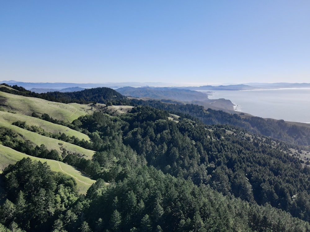 green trees on mountain under blue sky during daytime