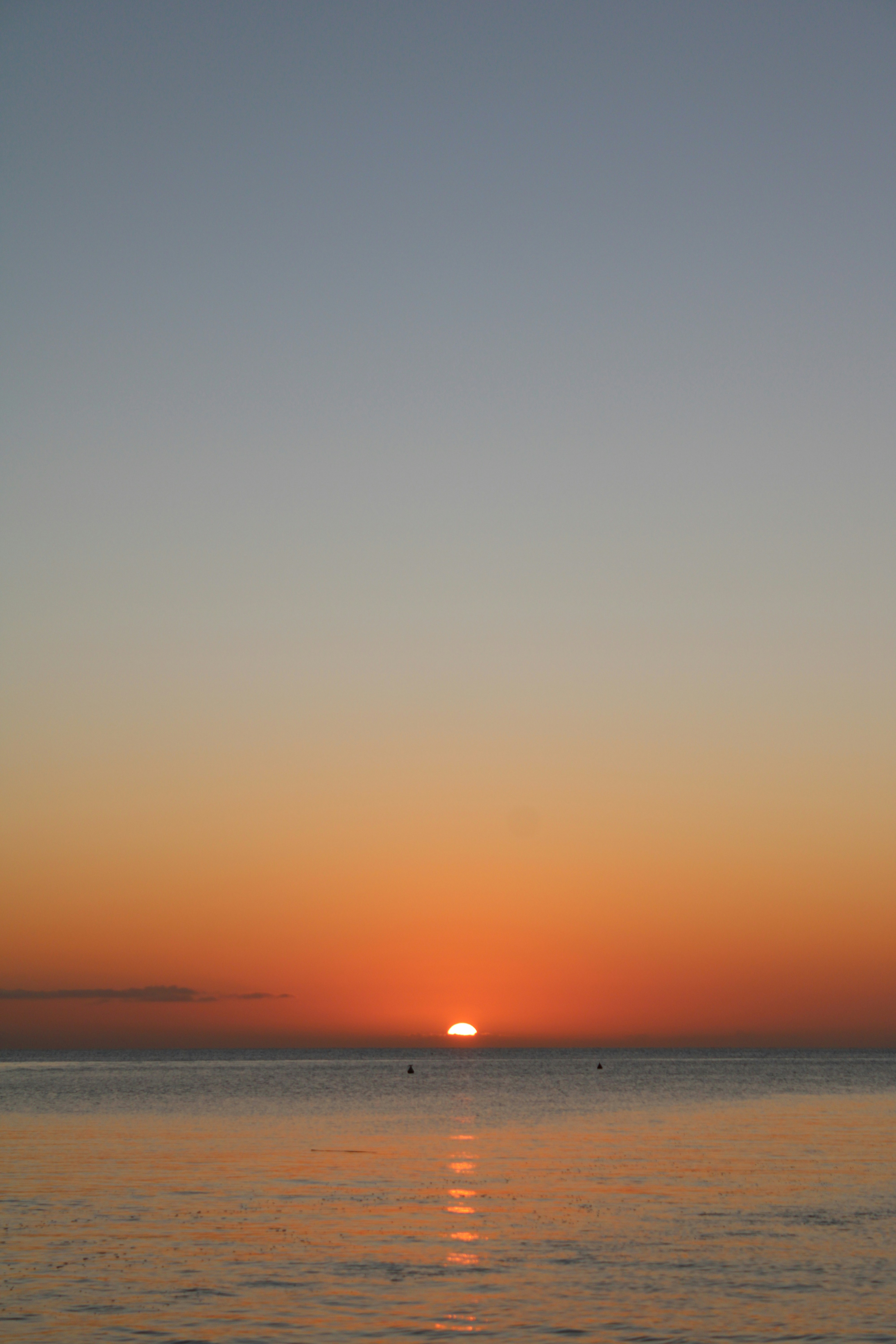 Photo by anatomescu92