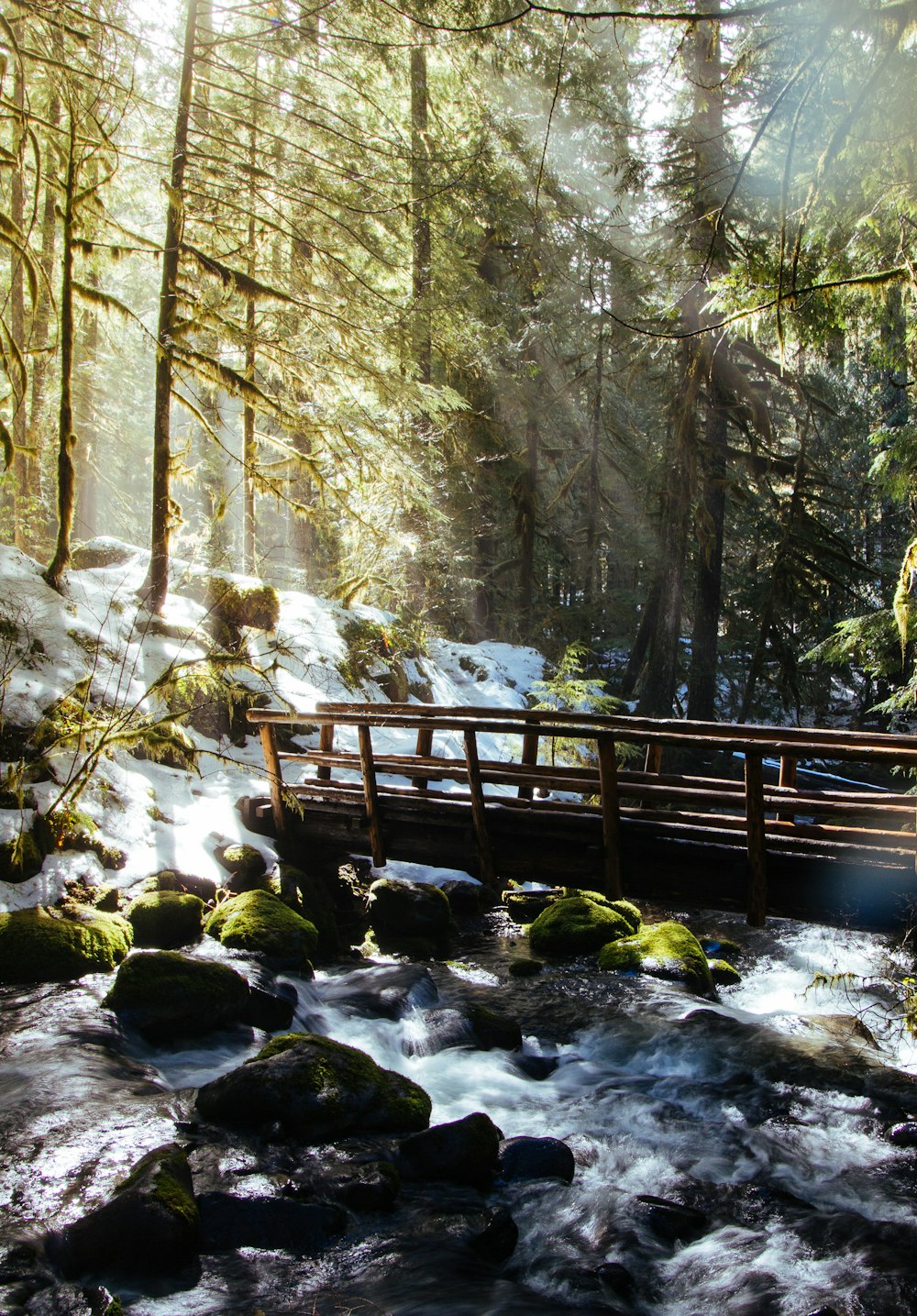 brown wooden bench on rocky river