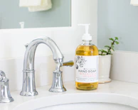 Bright kitchen sink with True Tides liquid soap bottle next to a blooming potted plant.