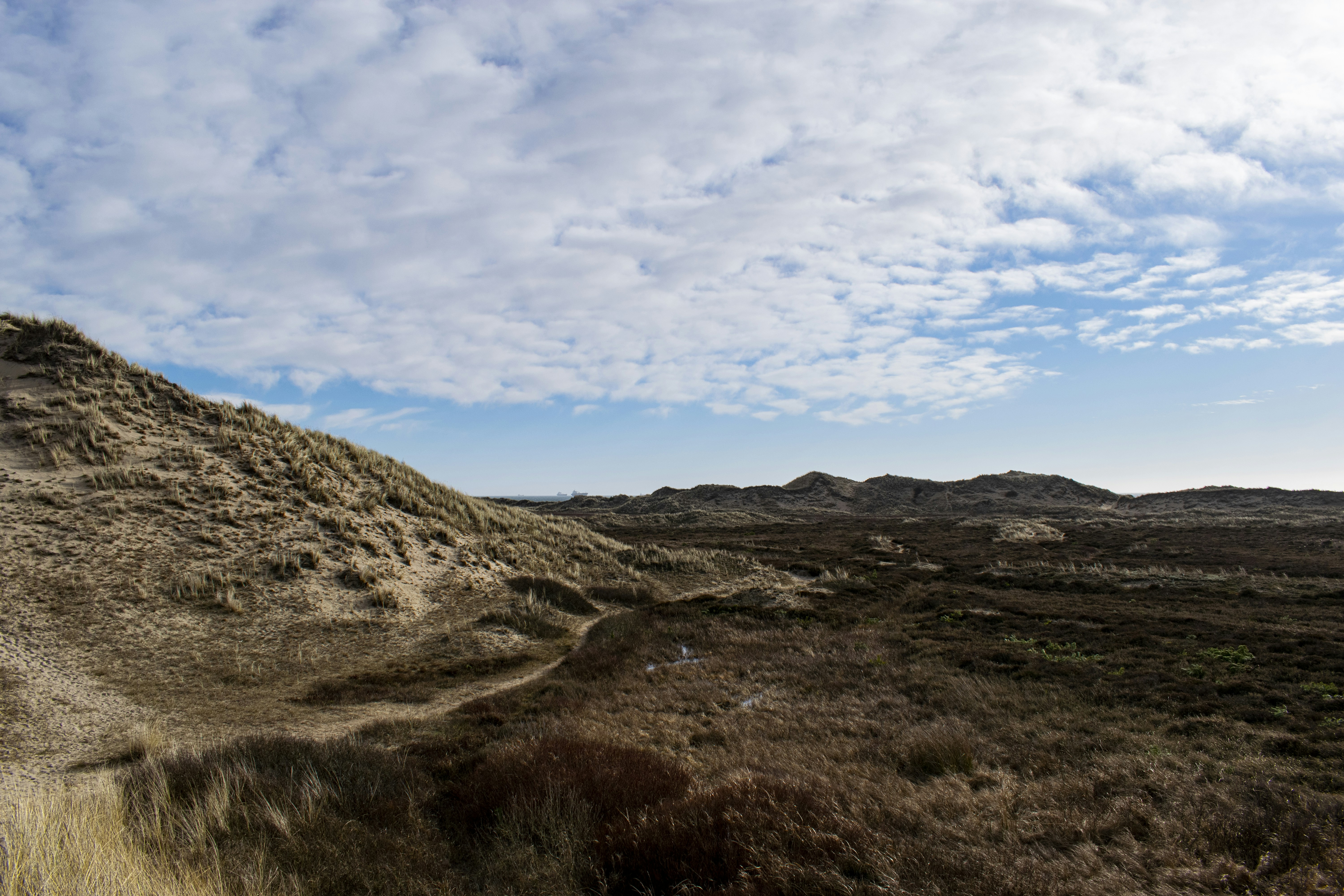 Photo by zuzi_ruttkay