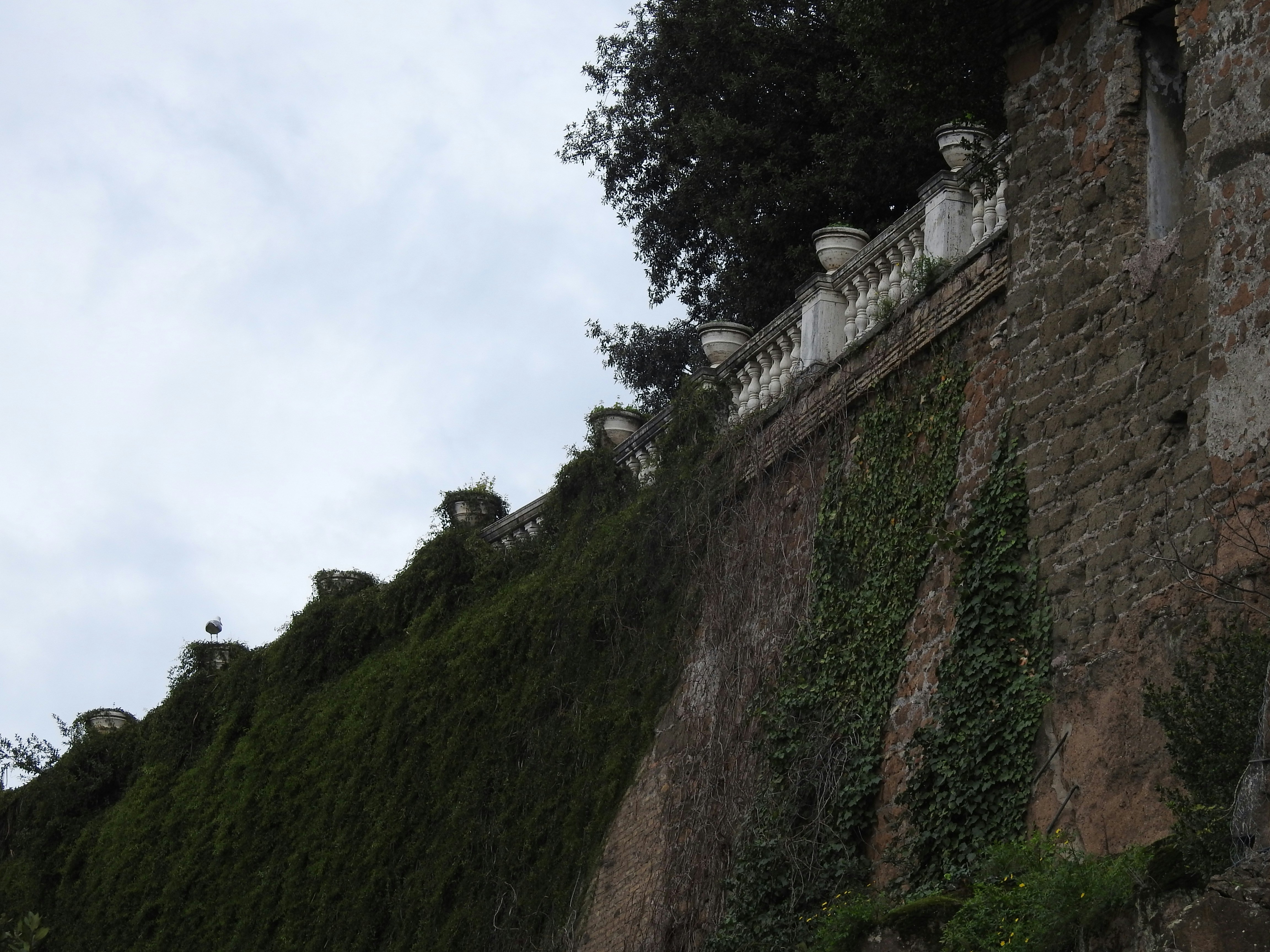 green trees on mountain under white sky during daytime