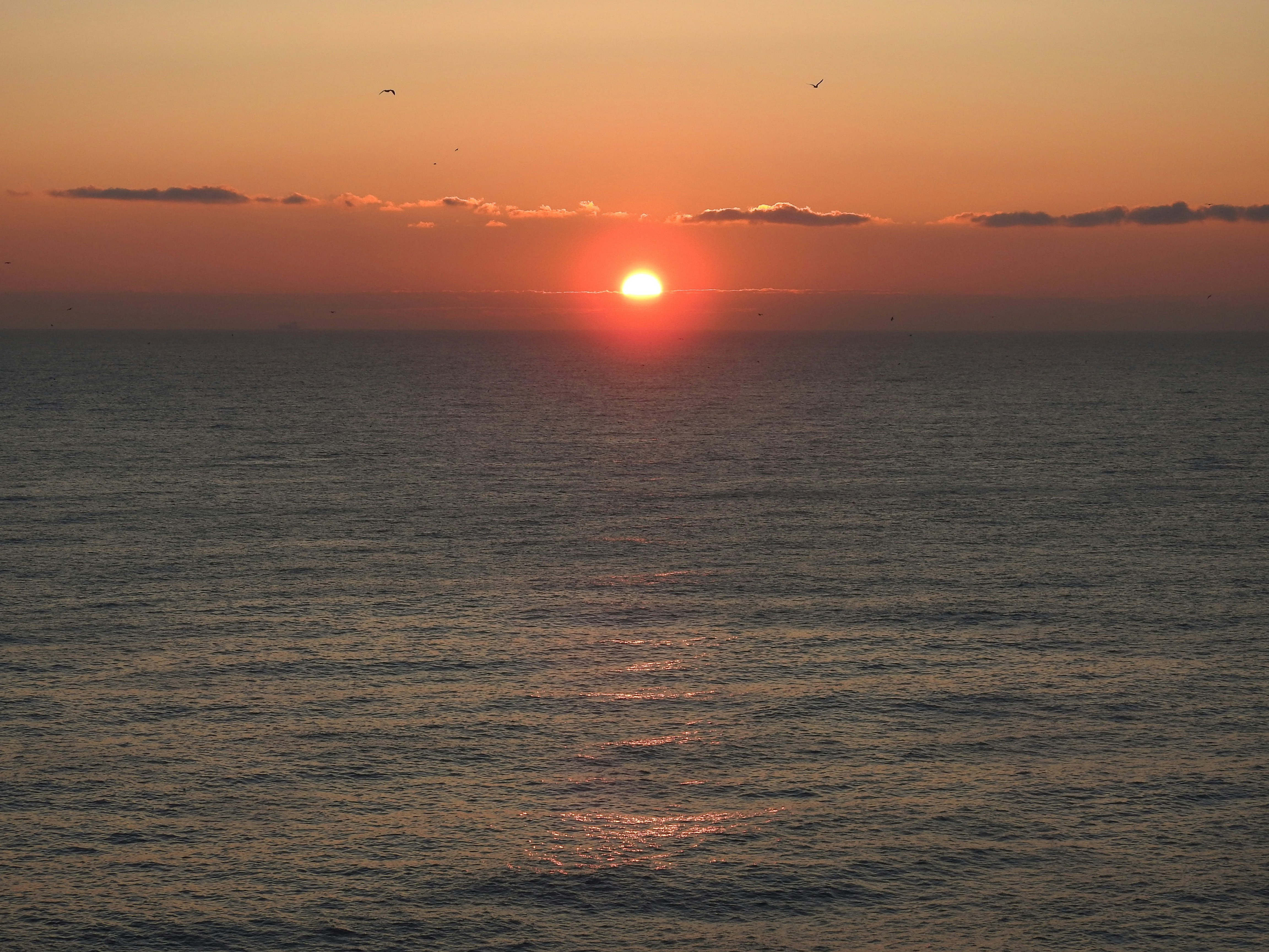 Photo by jasmin0rath