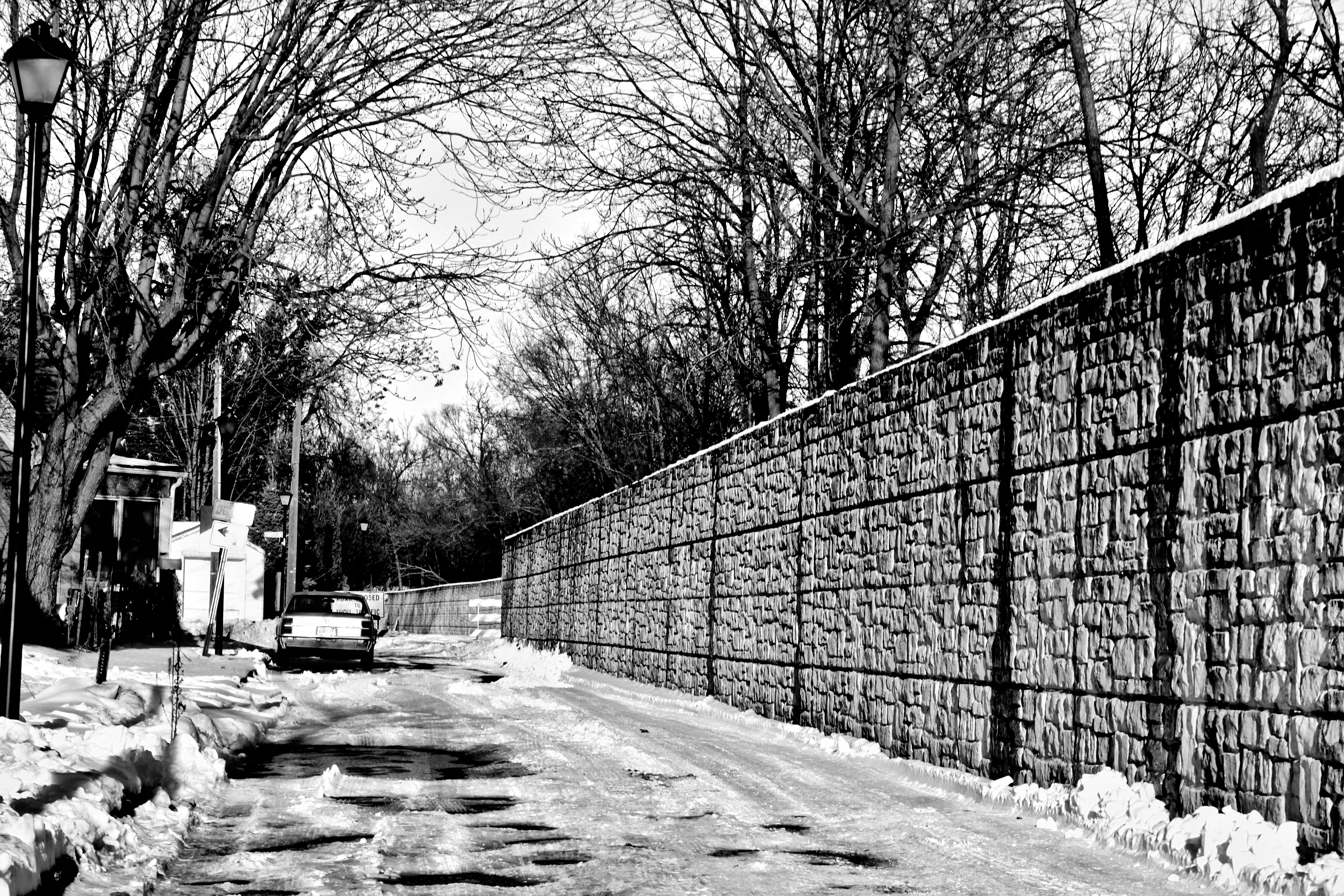 Photo by mrgreatheart