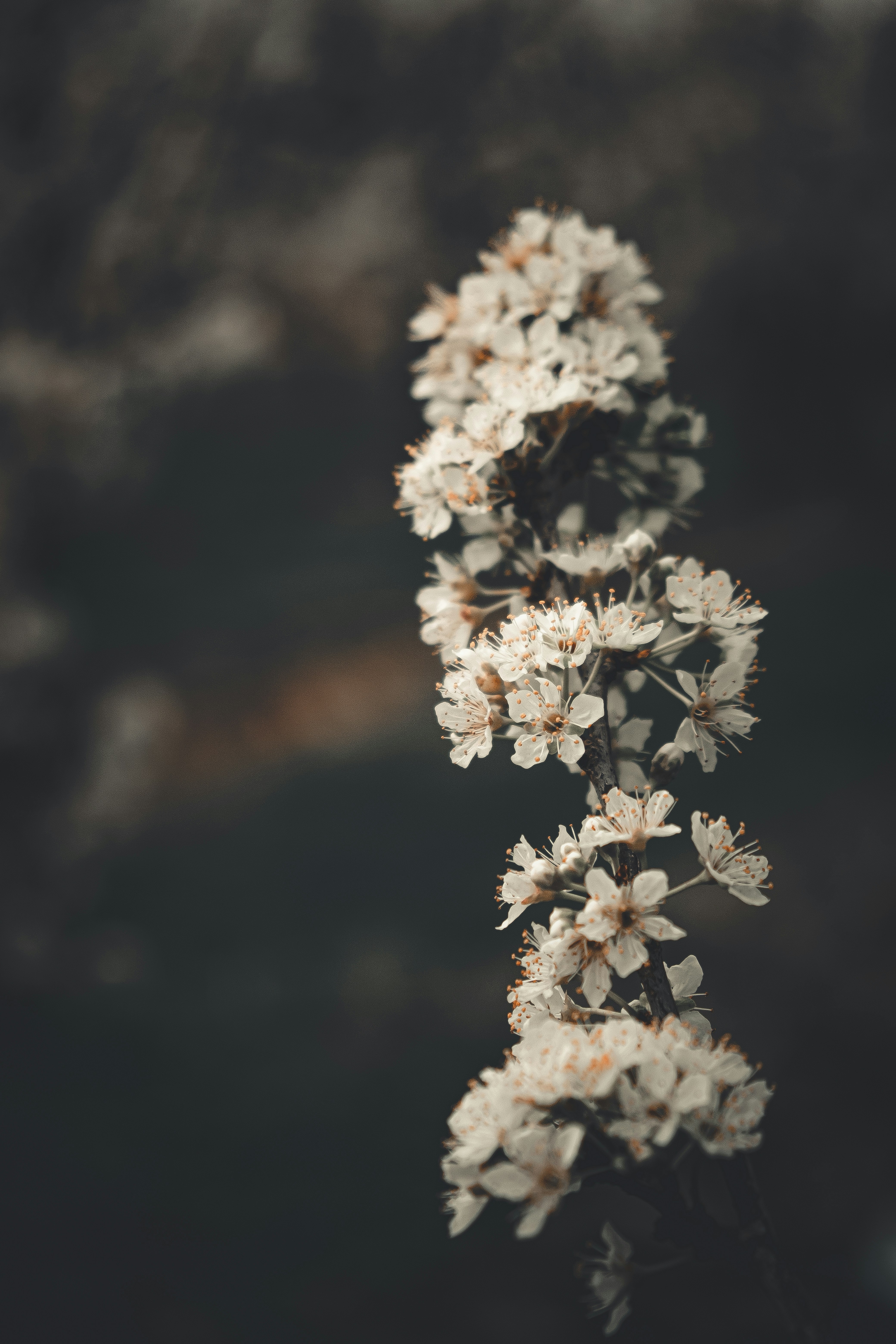 Photo by sajadnori