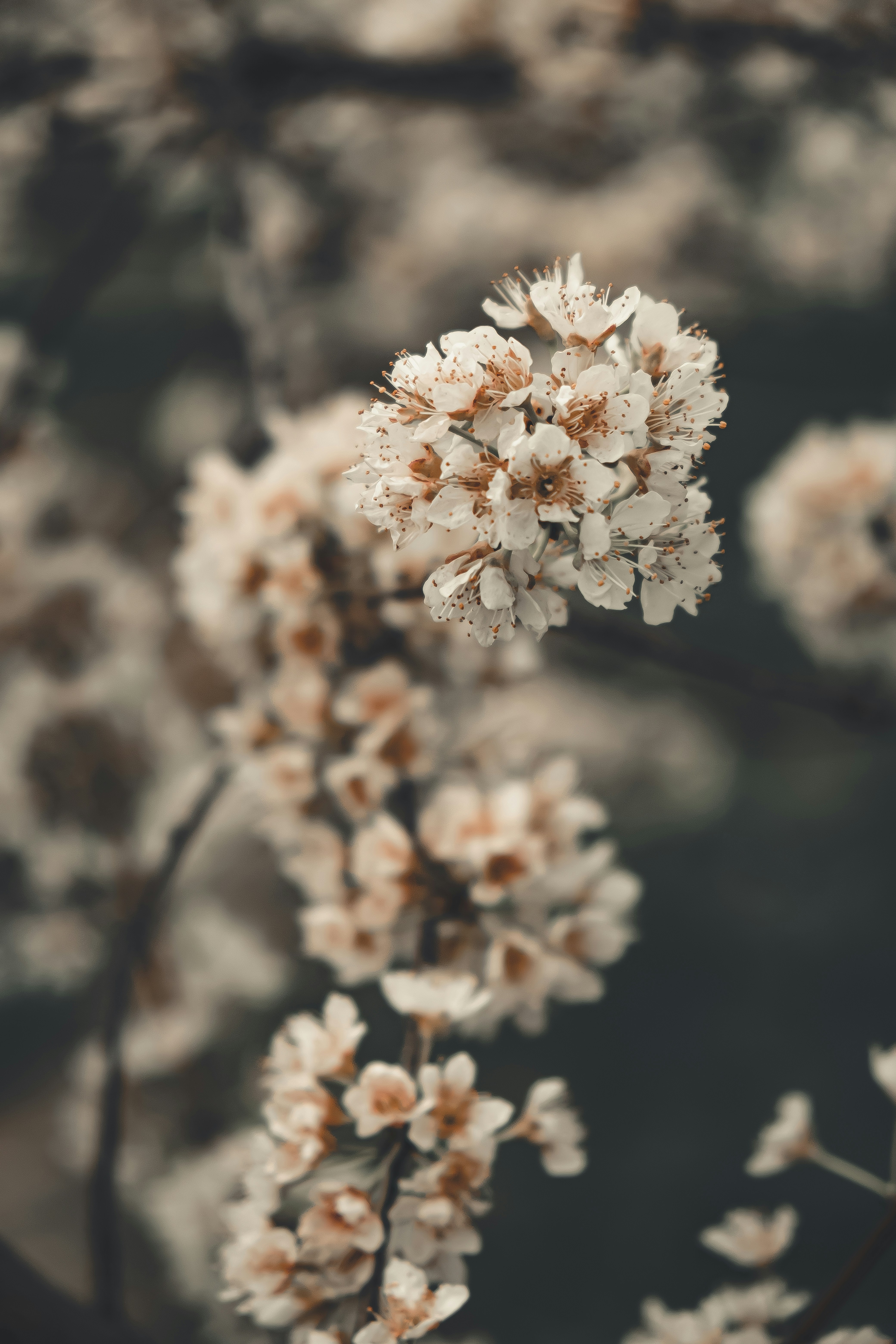 Photo by sajadnori