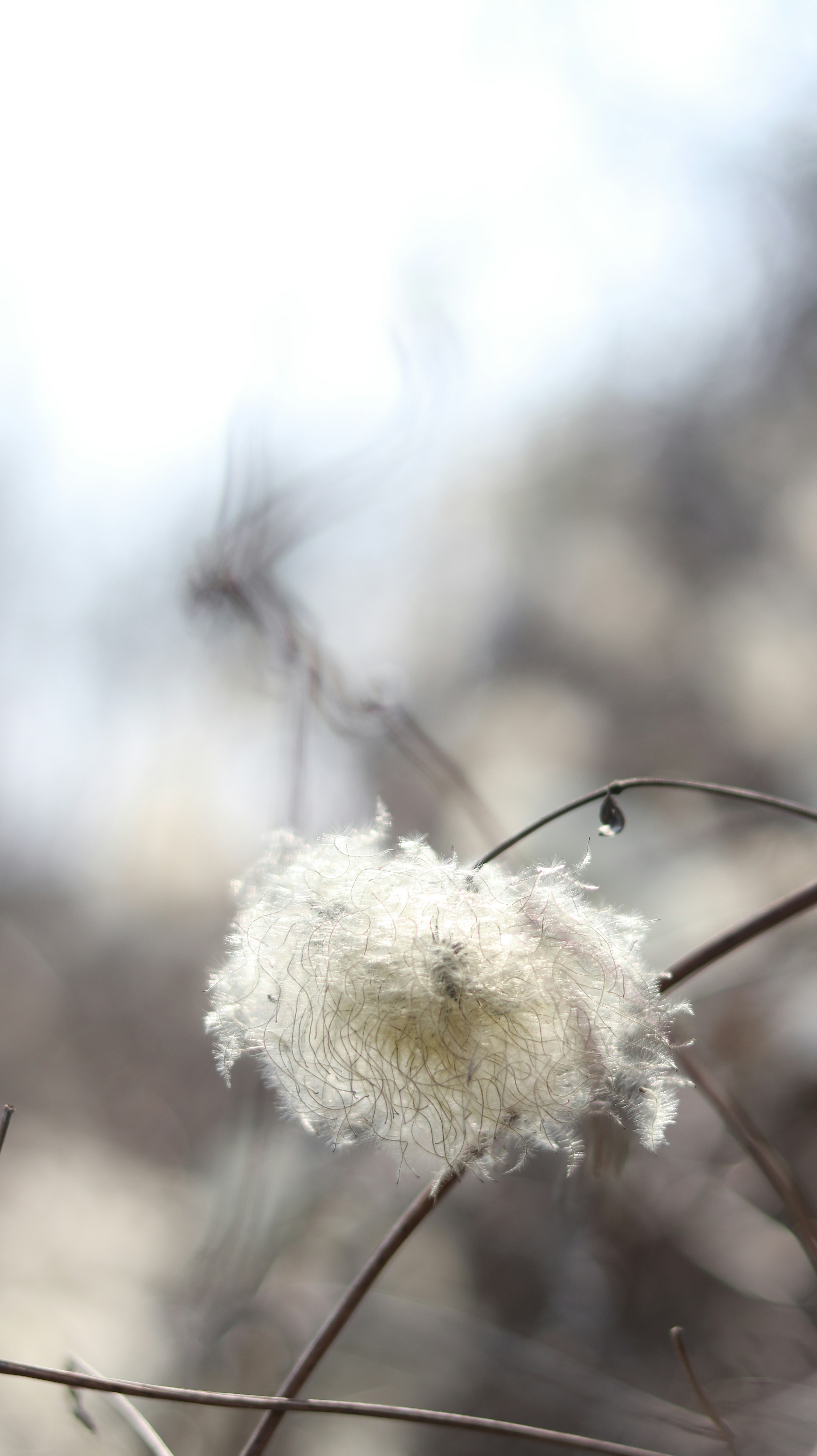 Photo by reloadworld4dreamers