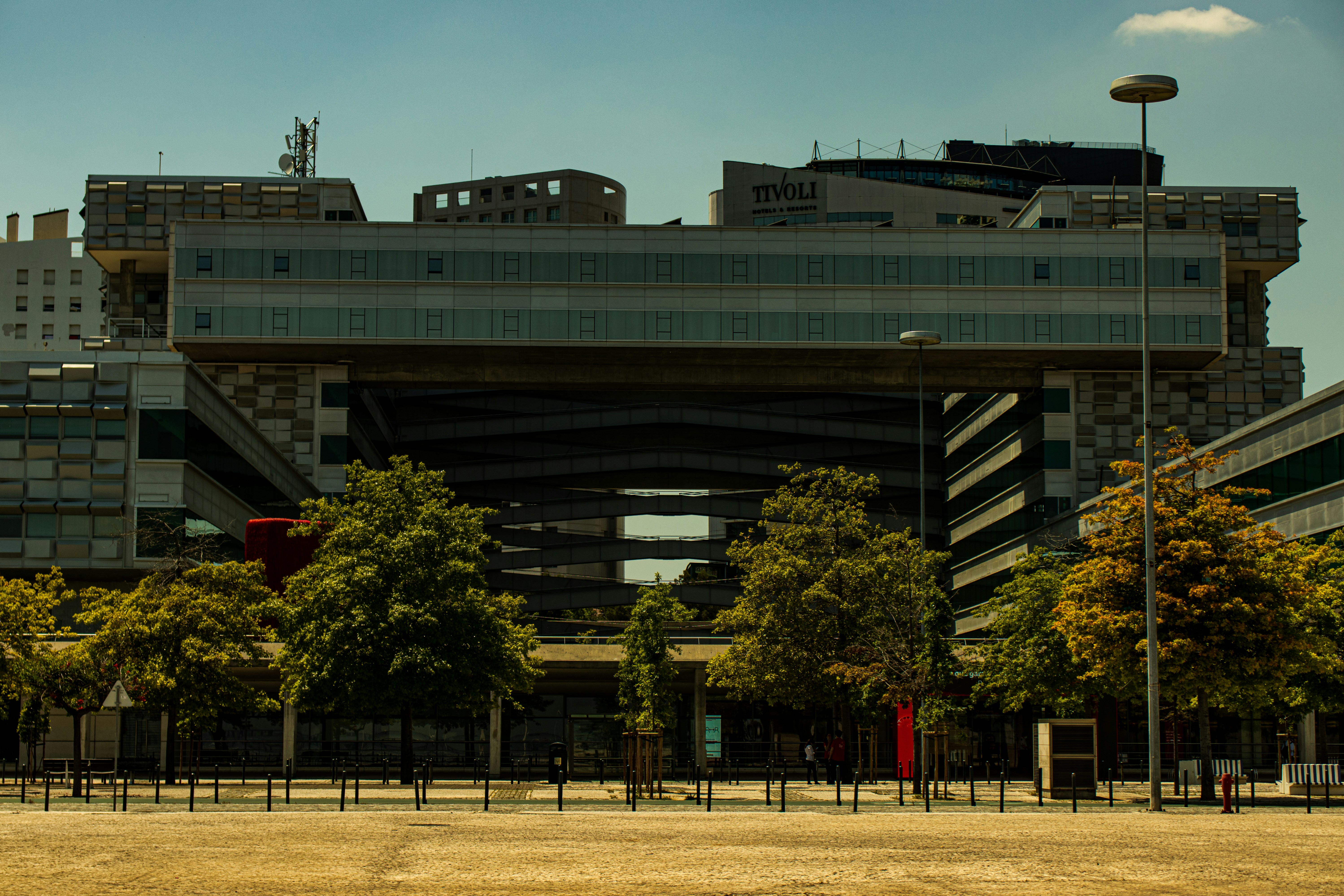 Photo by foxeggs