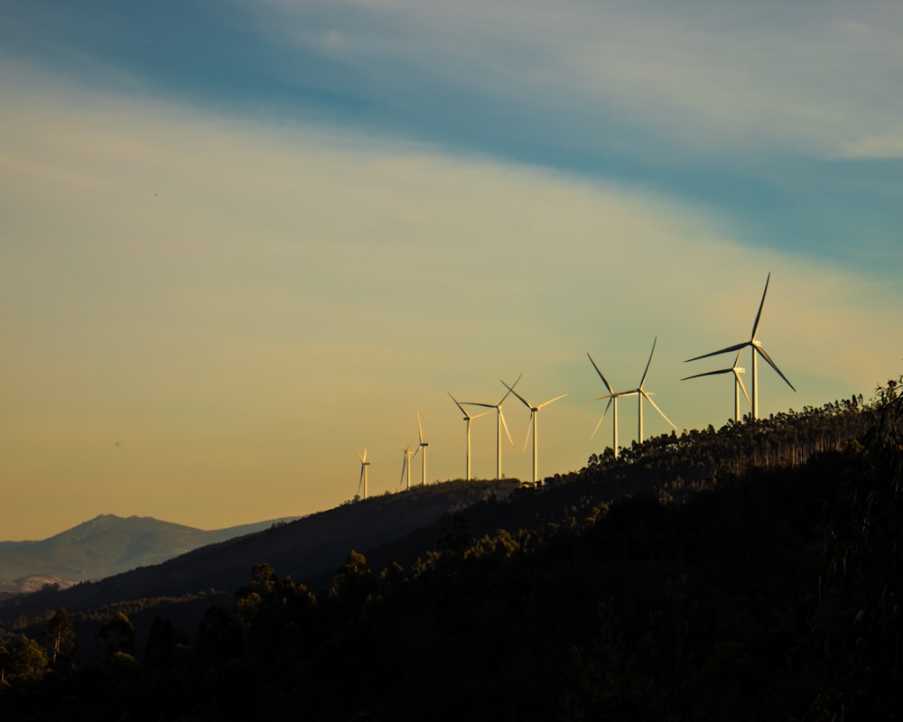 wind turbines on hill during daytime