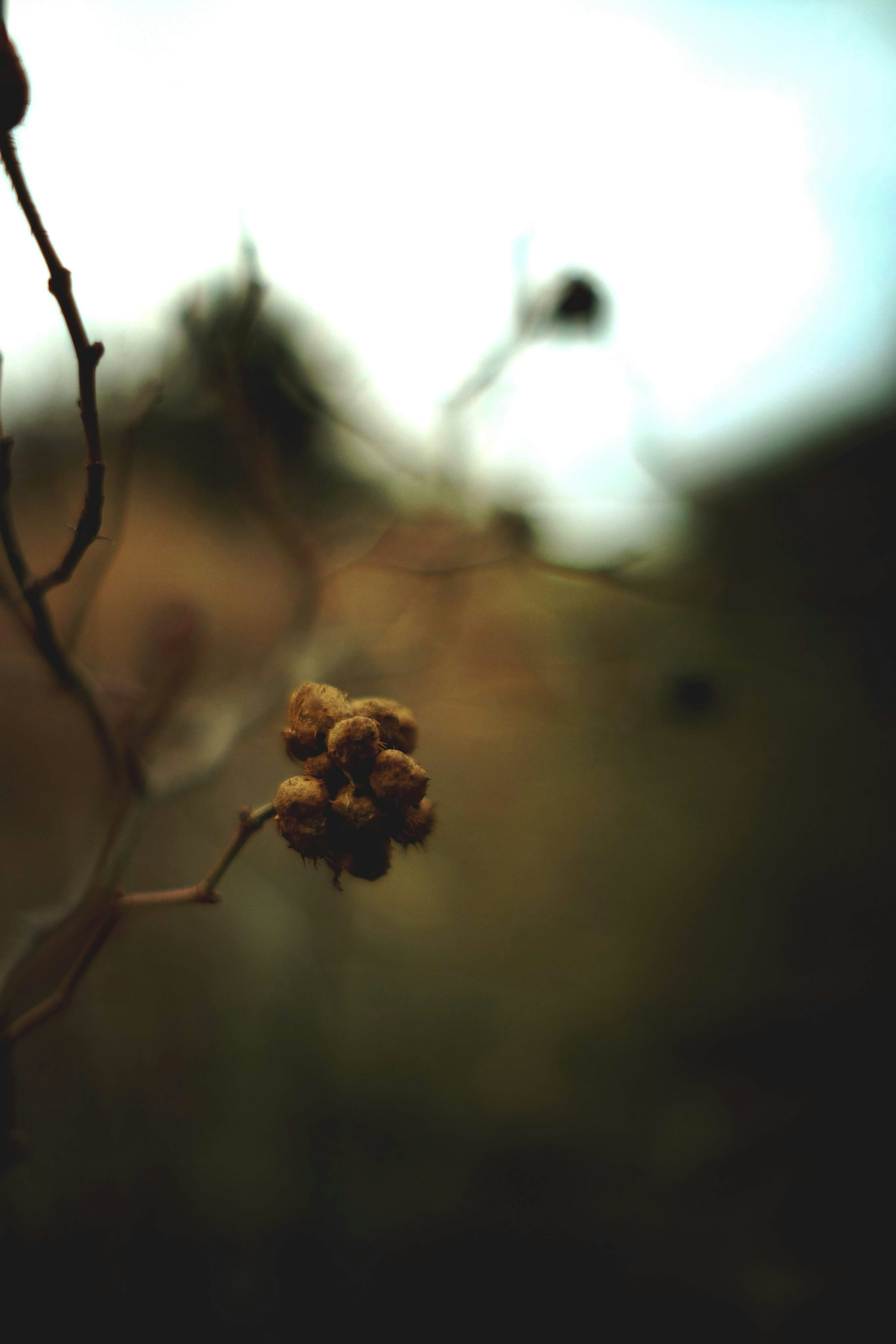 Photo by halofourteen