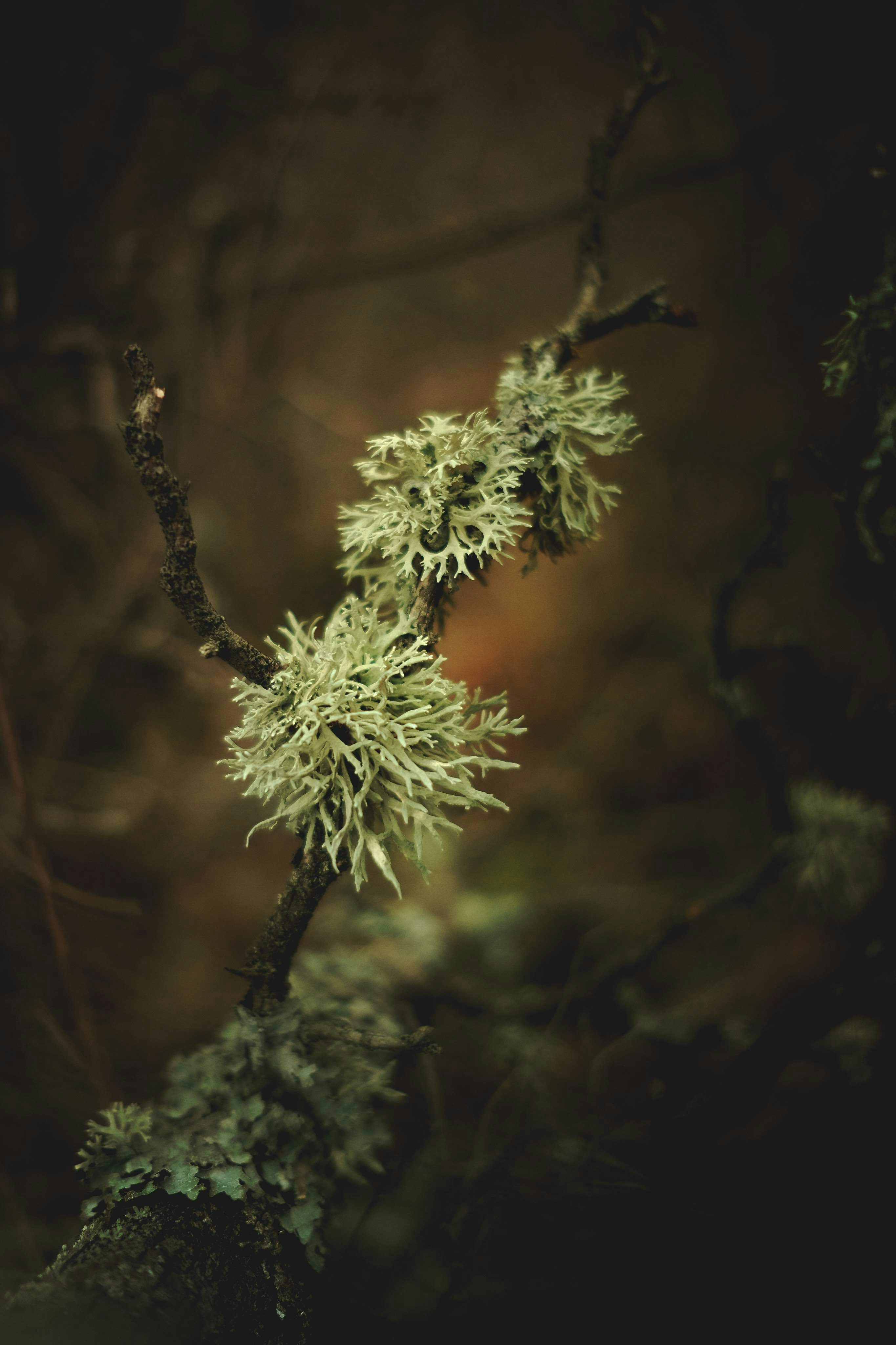 Photo by halofourteen