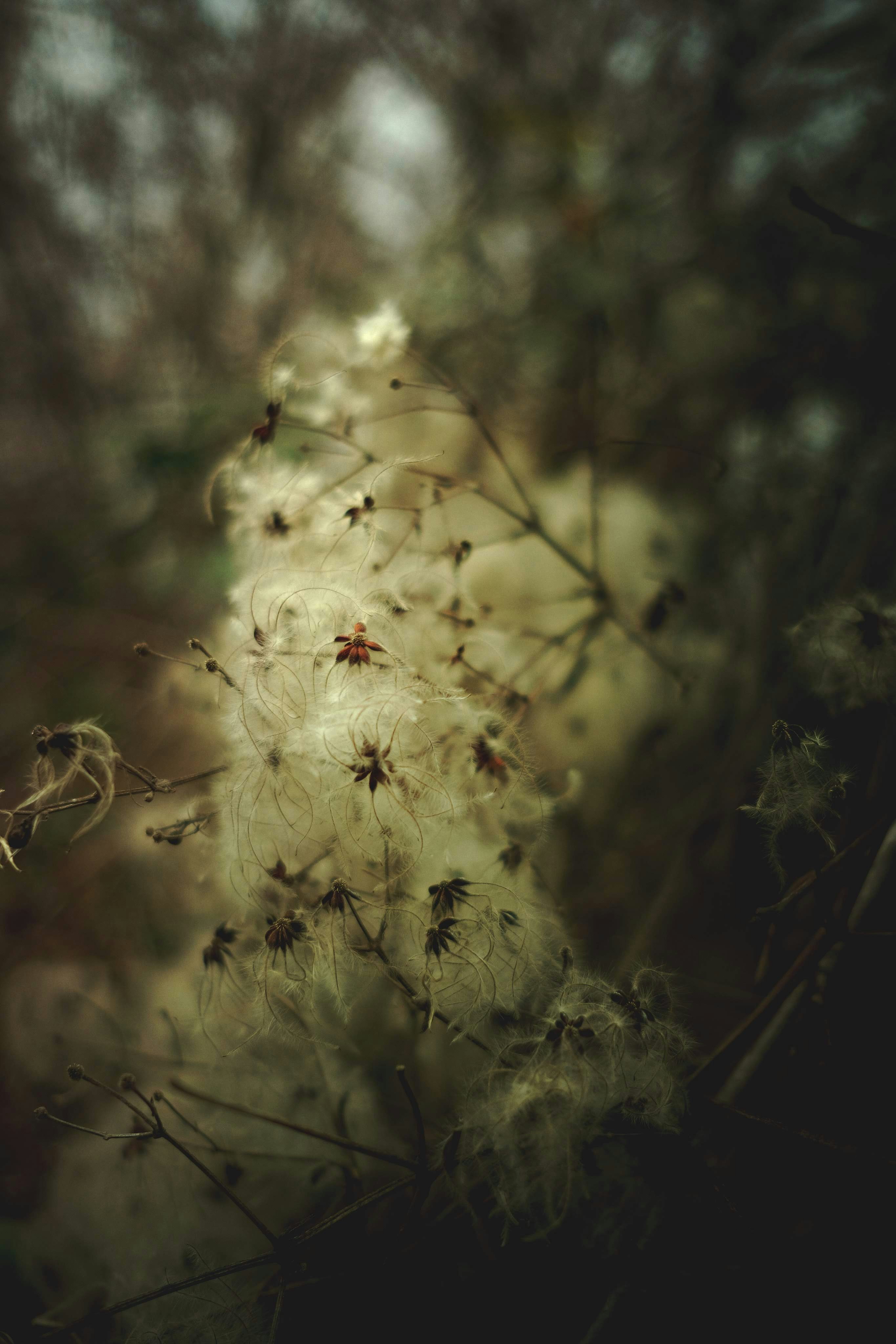 Photo by halofourteen