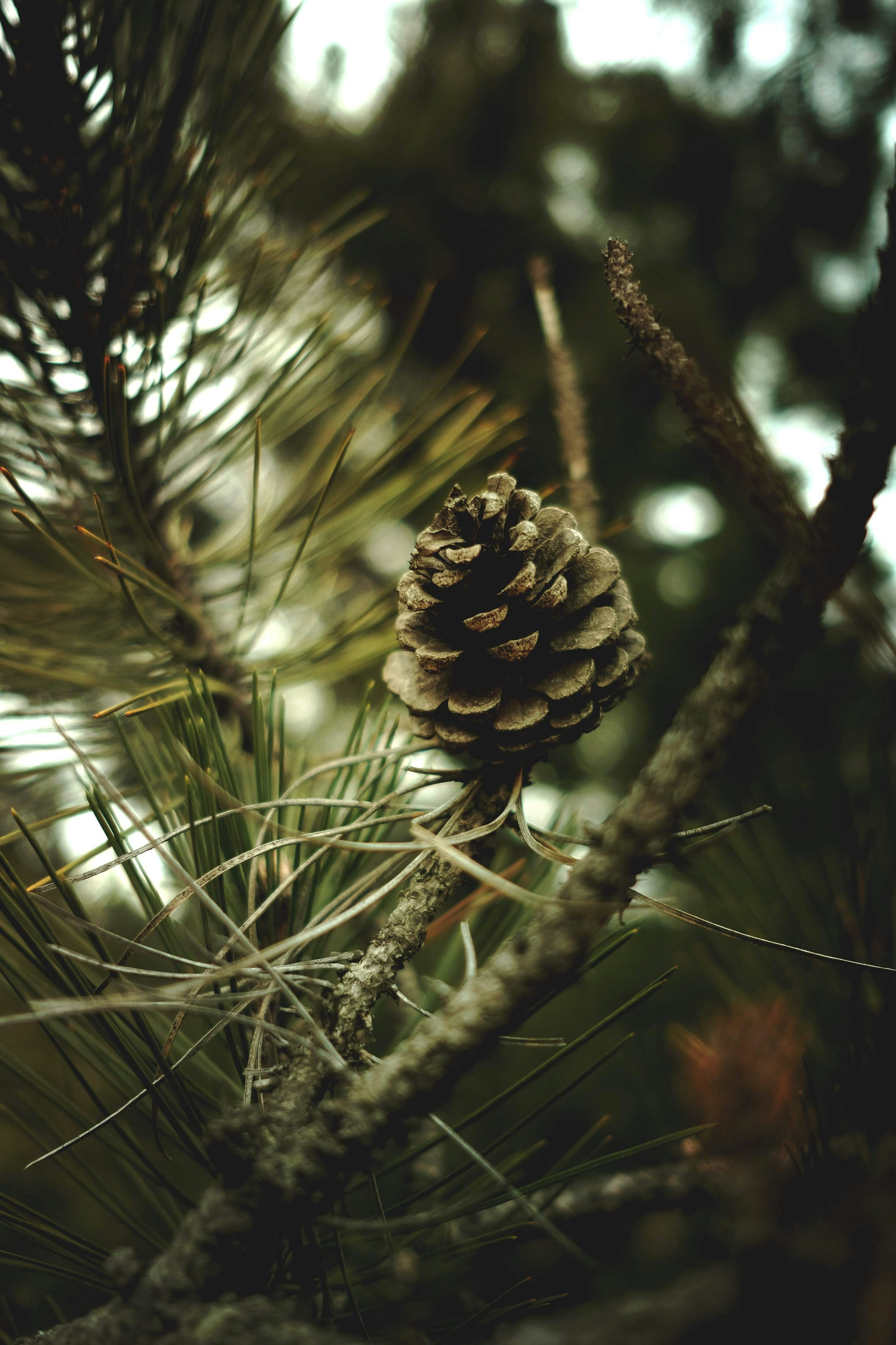 Photo by halofourteen