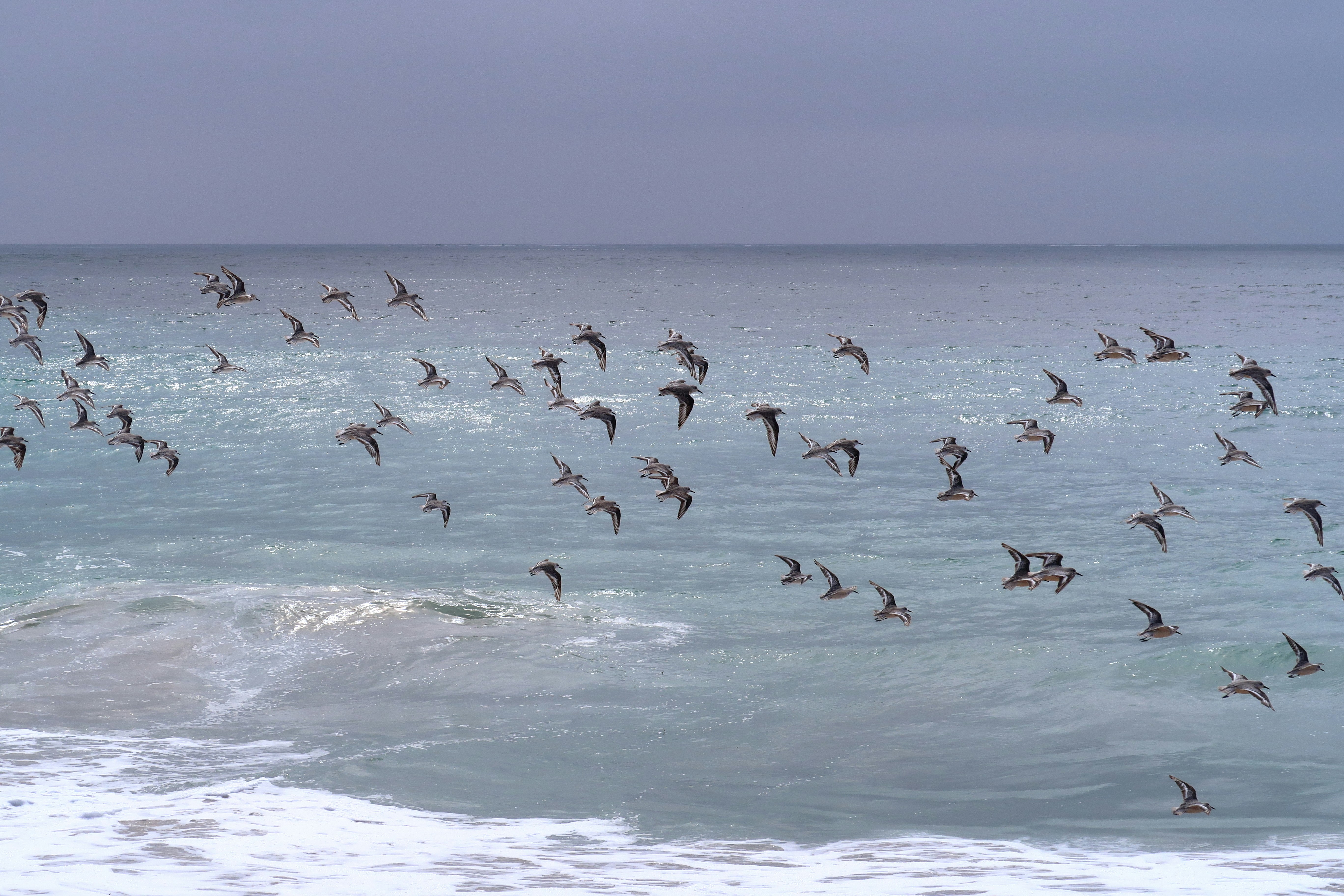 group of people surfing on sea waves during daytime