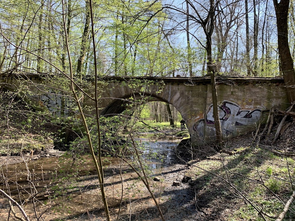 brown concrete bridge over river