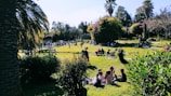 A sunny day with people relaxing and having fun outdoors.