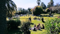 A public park with families enjoying a sunny day.