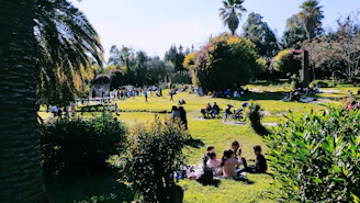A lively neighborhood park filled with families enjoying a sunny day.