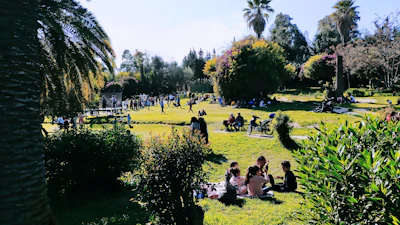 A lively neighborhood park filled with families enjoying a sunny day.