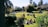 A sunny park scene with families enjoying picnics and children playing on the grass.