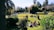 A sunny park scene with families enjoying picnics and children playing on the grass.