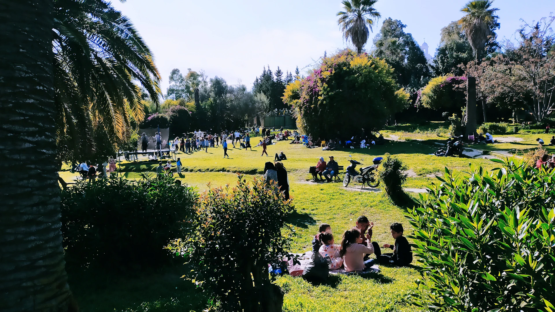 A wide shot of a lively urban park full of people enjoying a sunny day, perfectly filling the page width.