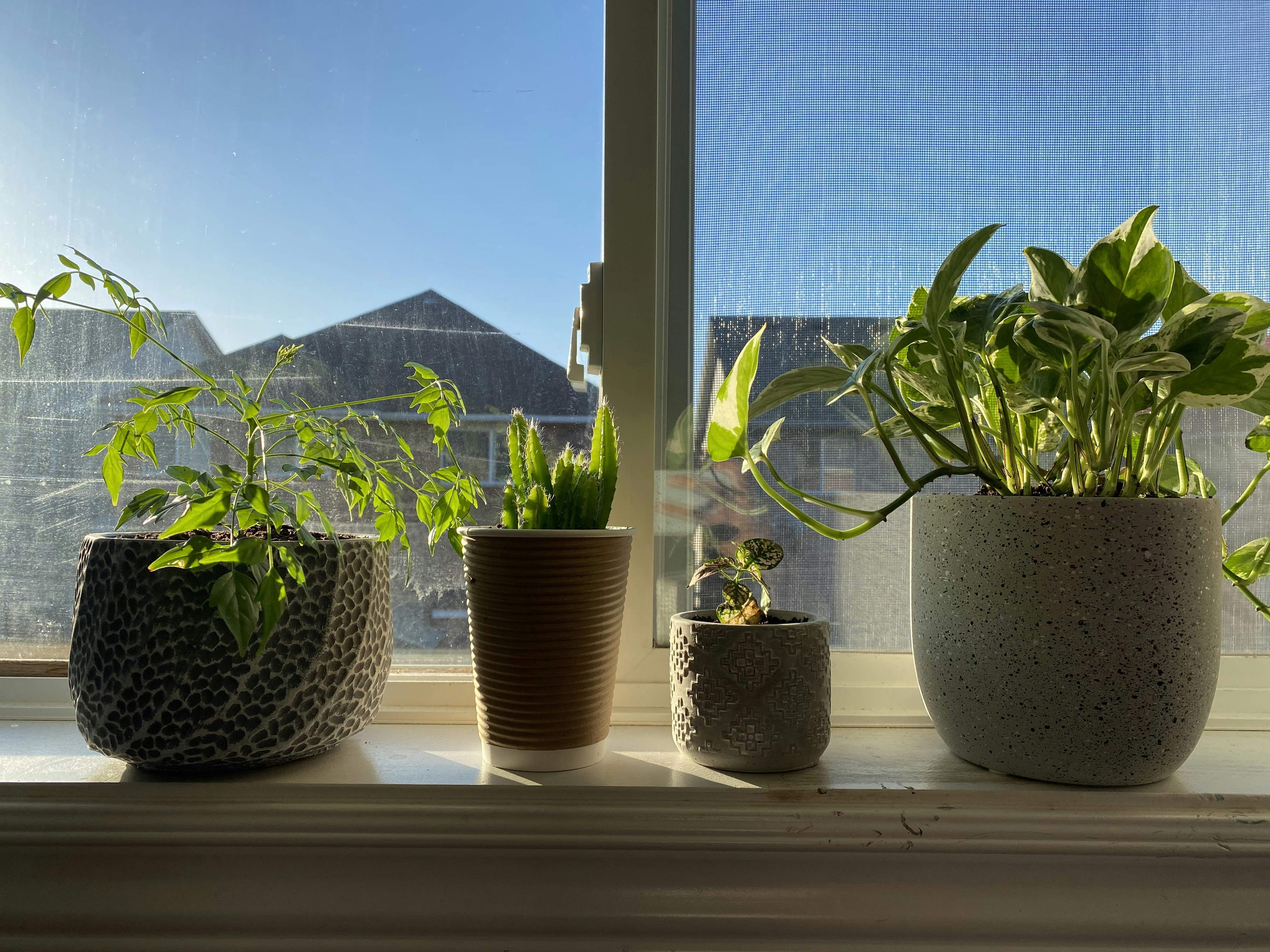 Self-Watering Herb Planter