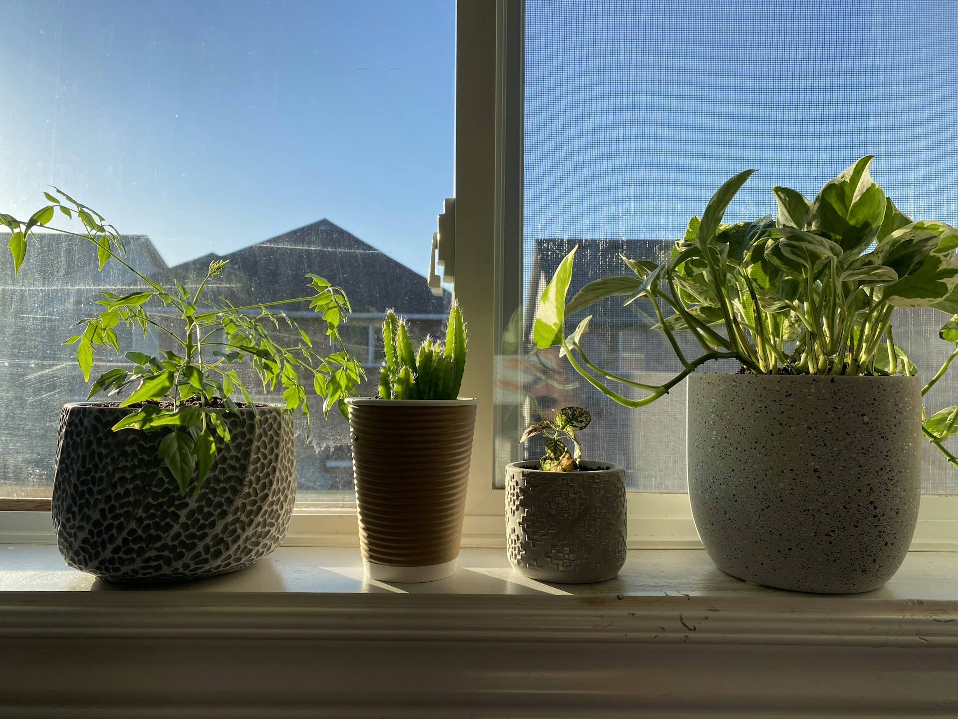 woman wearing yellow long-sleeved dress under white clouds and blue sky during daytime