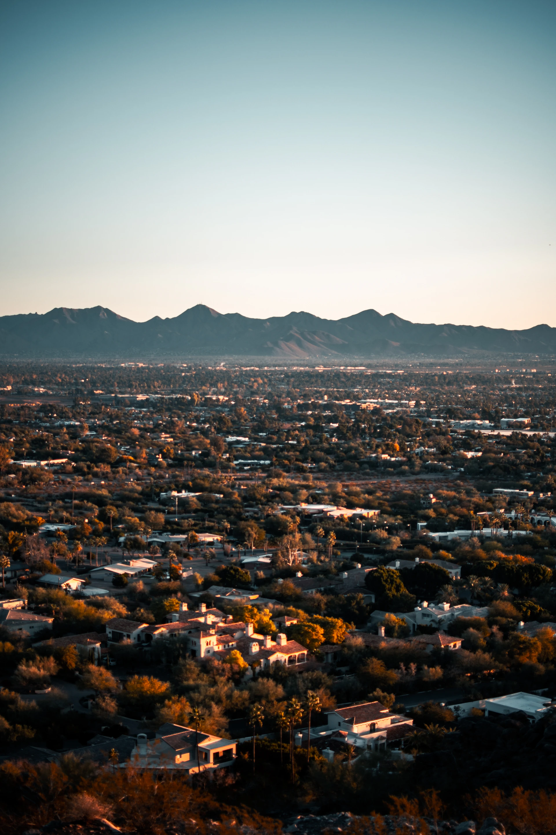 Phoenix