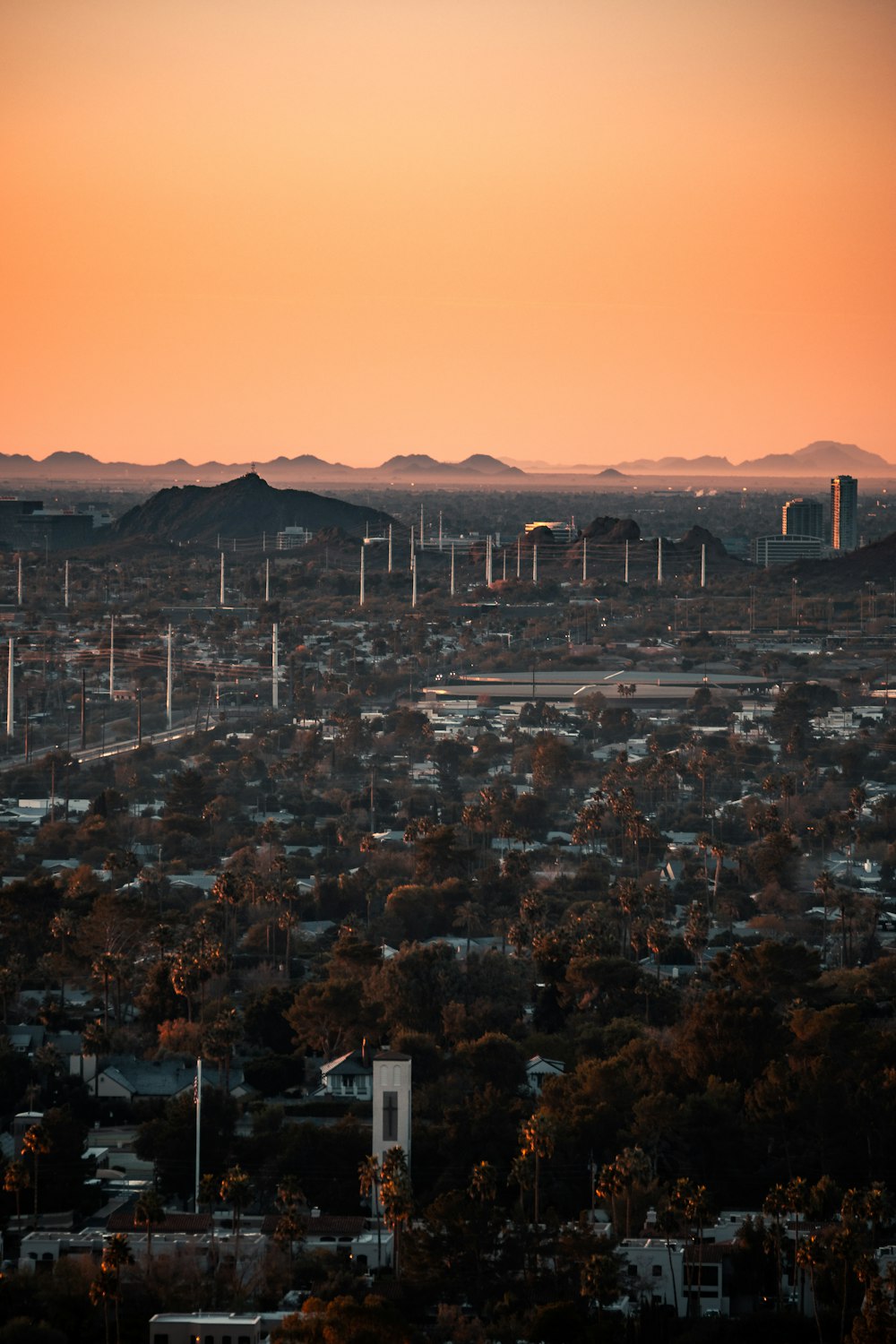 city with high rise buildings during daytime