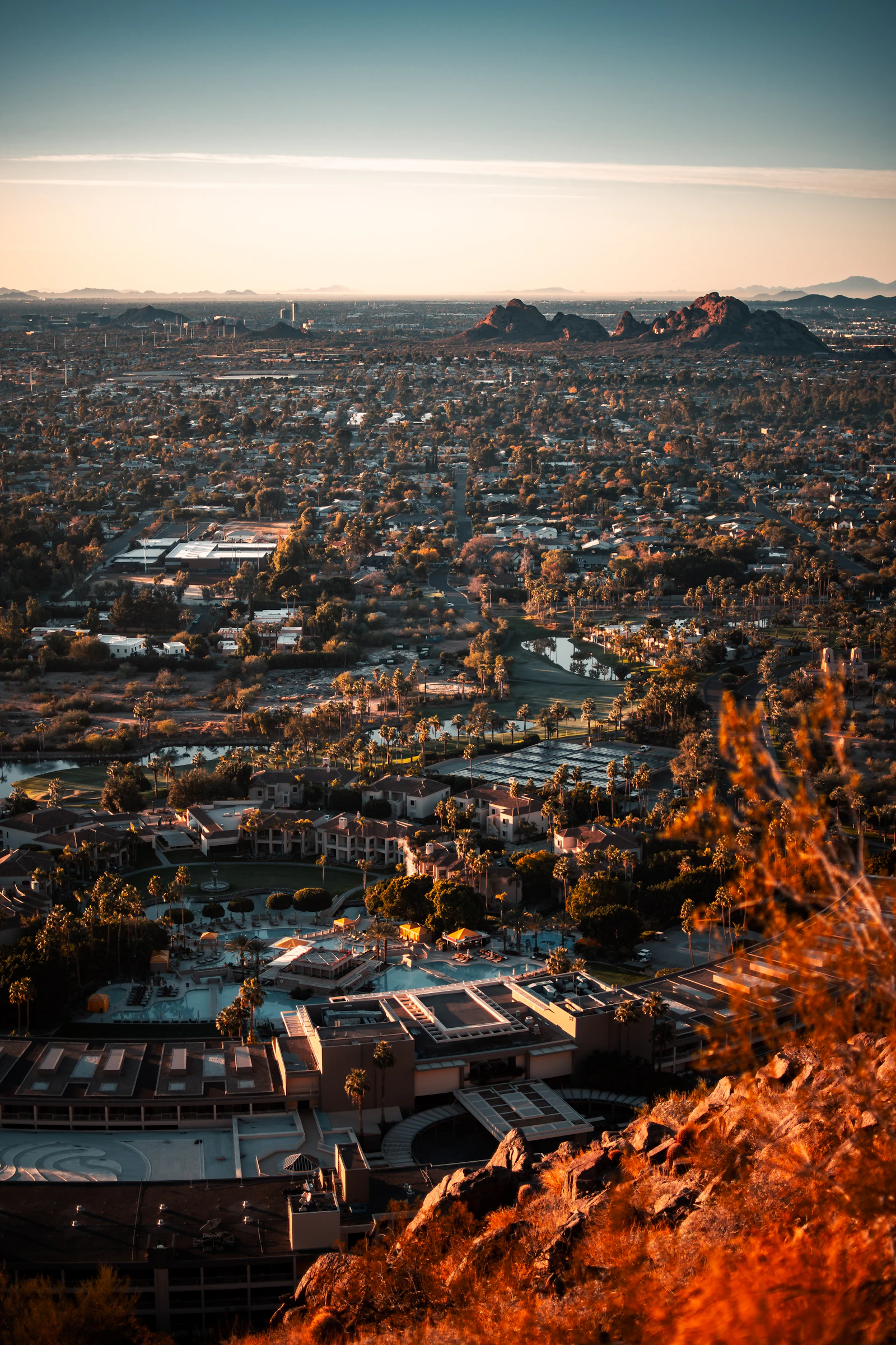 Institutional Lease-Up in Scottsdale — MoveSmart Rentals