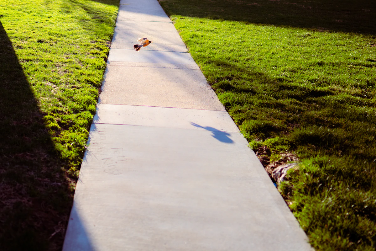 Clean new concrete sidewalk after repair