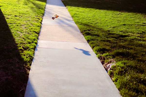 Architectural concrete walkway construction and premium flatwork in Halifax