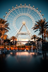 white ferris wheel near body of water during daytime