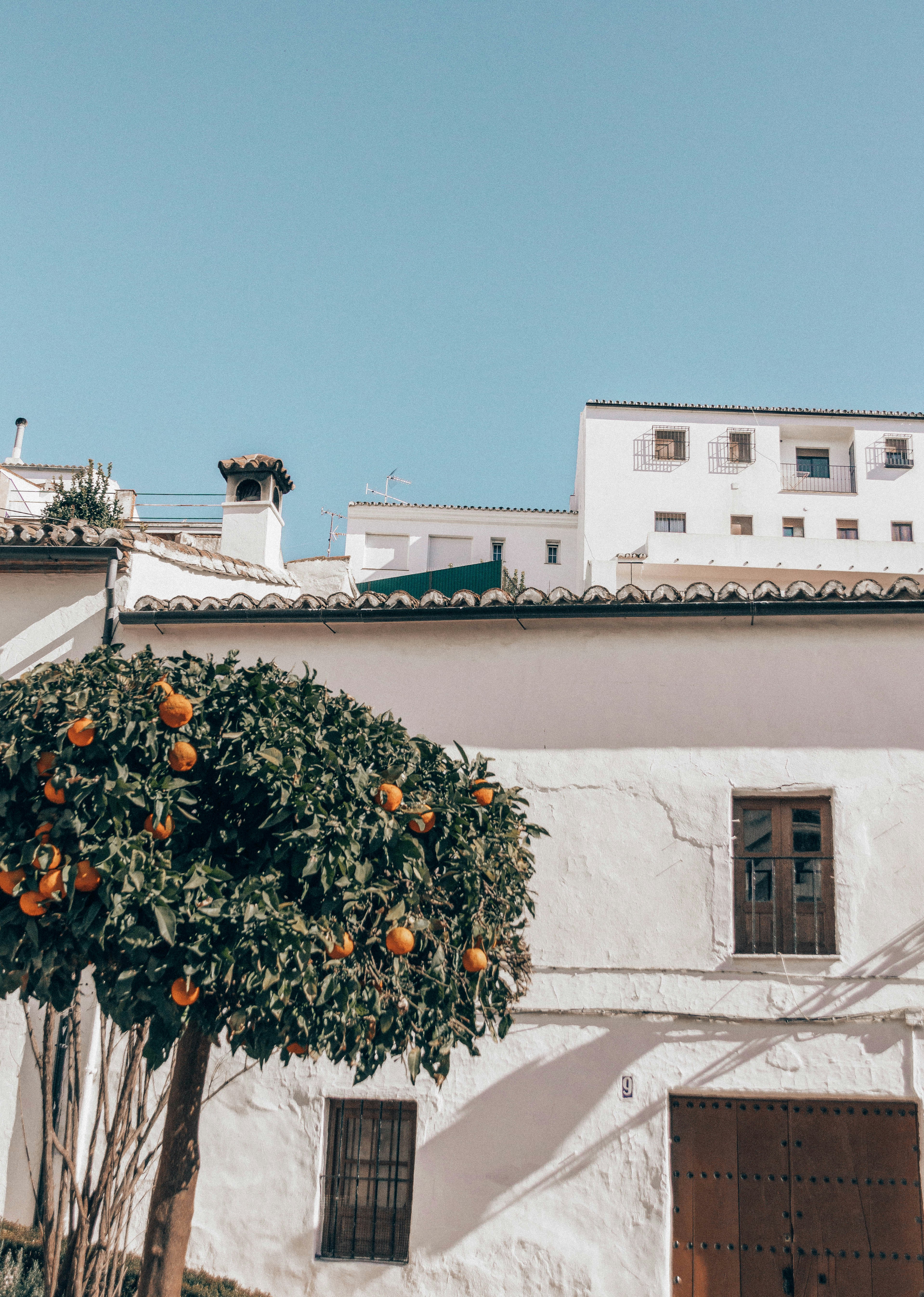 Photo by maddieleopardo