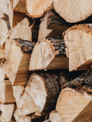 brown wood logs in close up photography