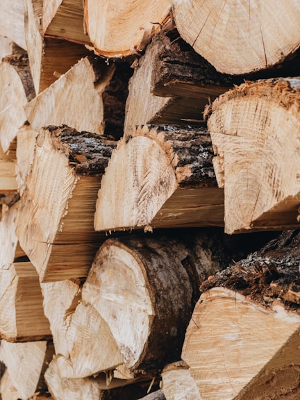 brown wood logs in close up photography