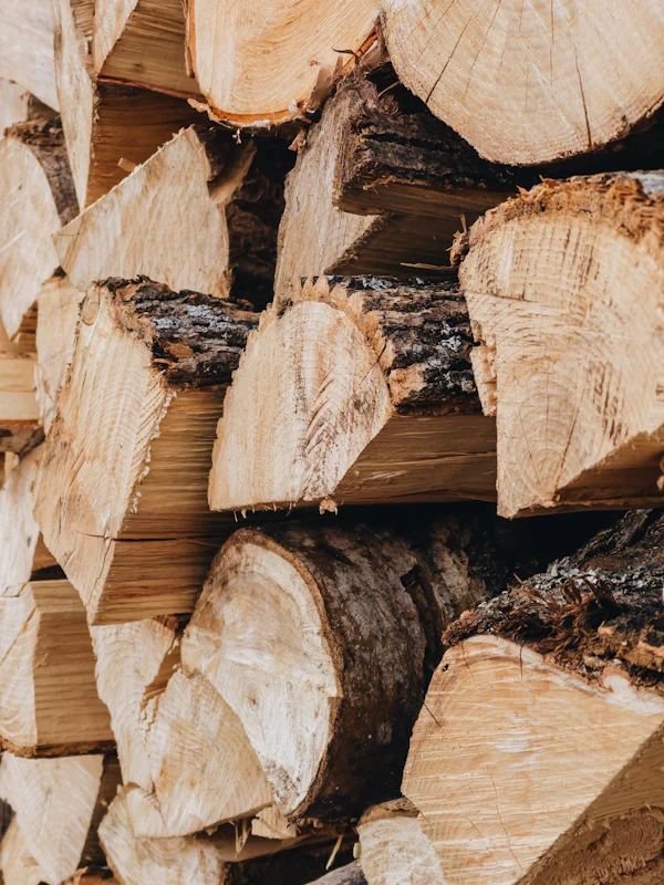 Tronchi di legno accatastati con anelli a vista — le note legnose di fondo di Boss Bottled Beyond EdT Intense